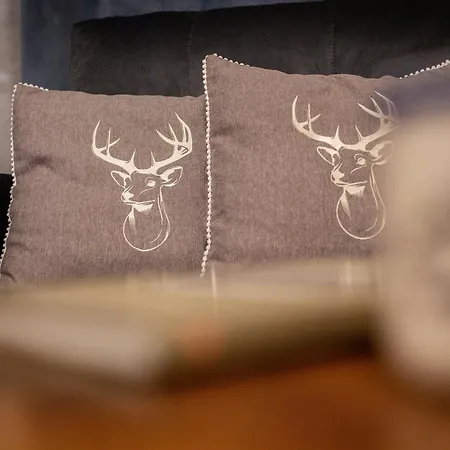 Pod Brzezinami Apartmán