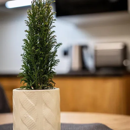 Pod Brzezinami Apartmán Murzasichle